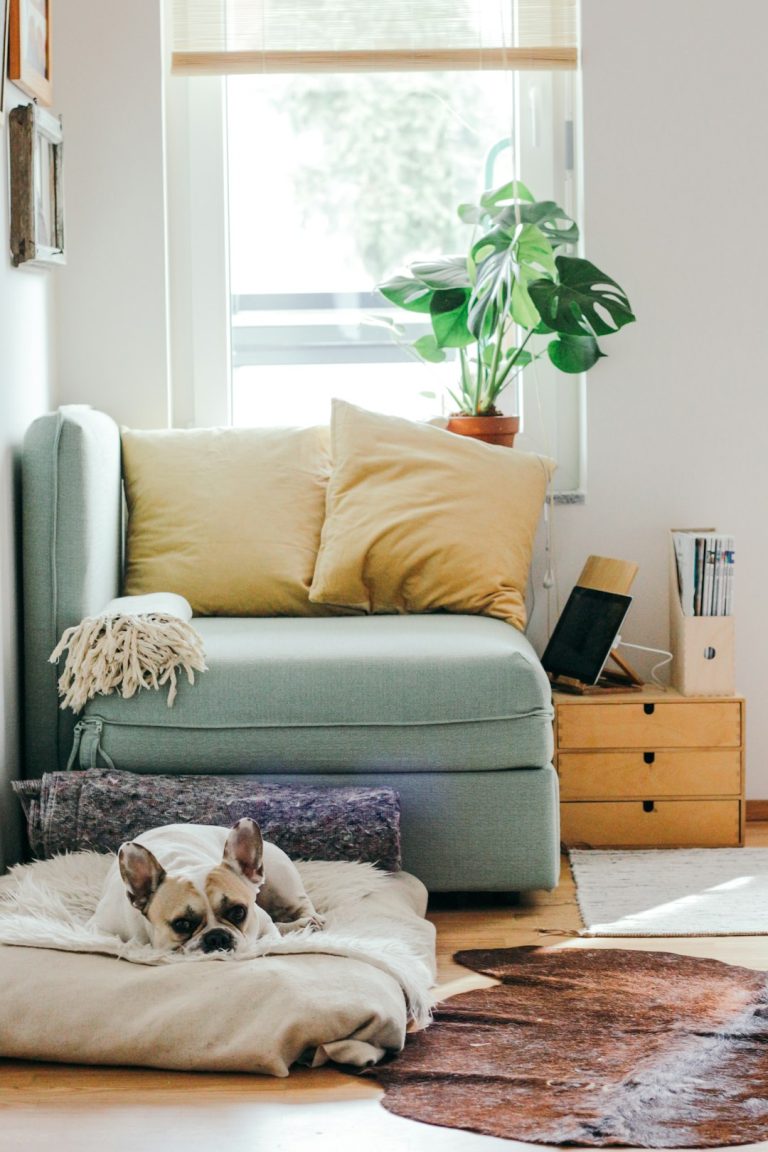 Credit Score Needed For Home Loan